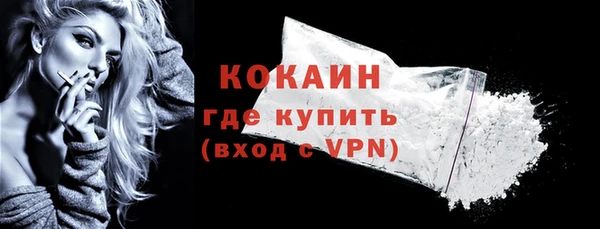 индика Баксан
