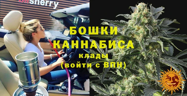 ГАЛЛЮЦИНОГЕННЫЕ ГРИБЫ Балахна