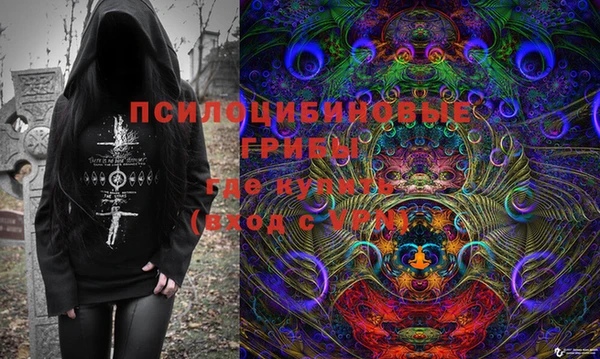 индика Баксан